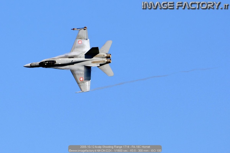 2005-10-12 Axalp Shooting Range 1714 - FA-18C Hornet.jpg